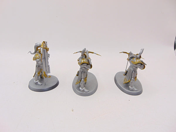 Vanguard Raptors