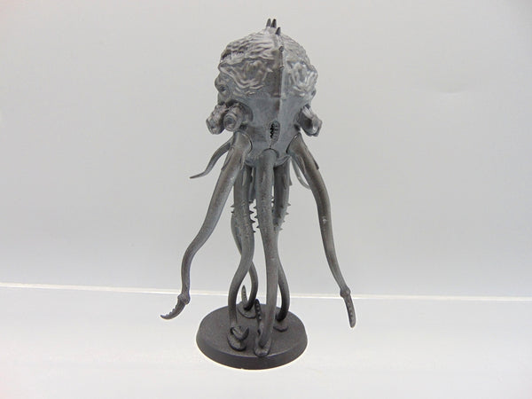 Mucolid Spore