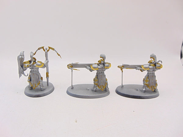 Vanguard Raptors