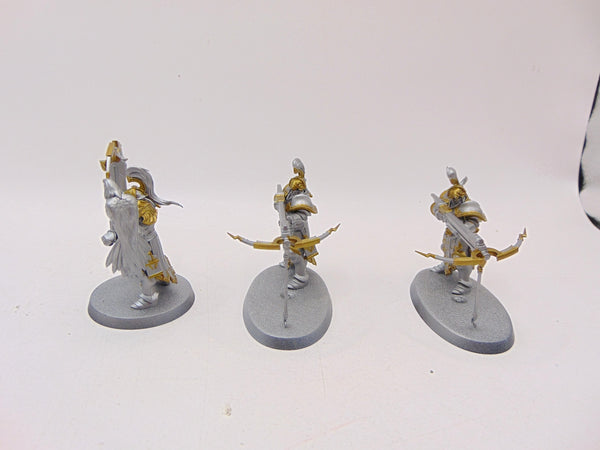 Vanguard Raptors