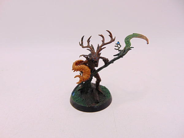 Branchwych
