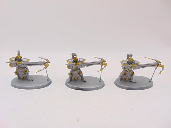 Vanguard Raptors