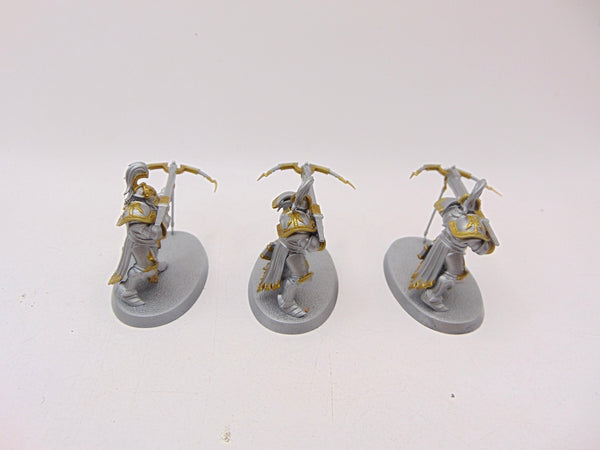 Vanguard Raptors
