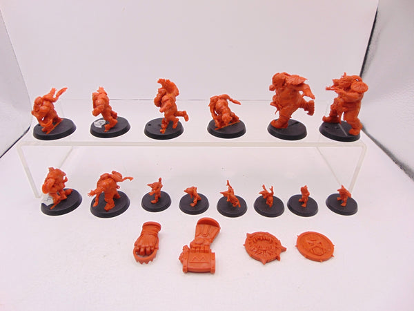 Dungeon Bowl College of Fire Team