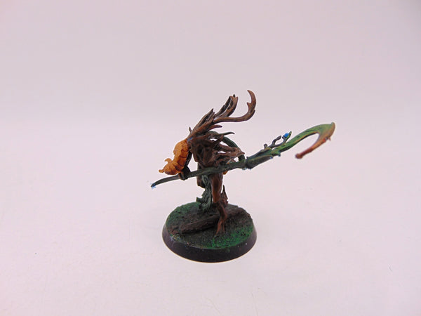 Branchwych