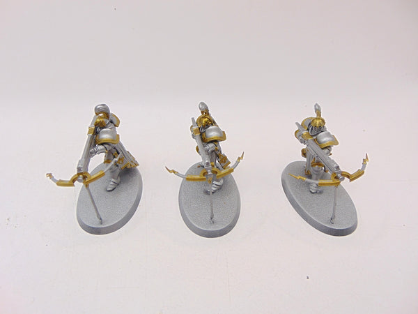 Vanguard Raptors