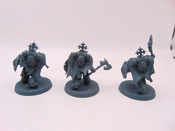 Wolf Guard Headtakers