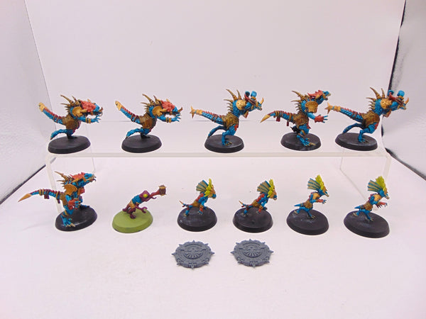 Lizardmen Blood Bowl Team – Gwaka'moli Crater Gators