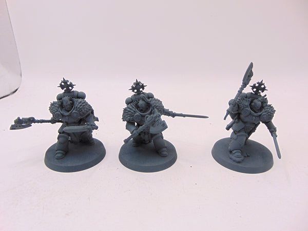 Wolf Guard Headtakers