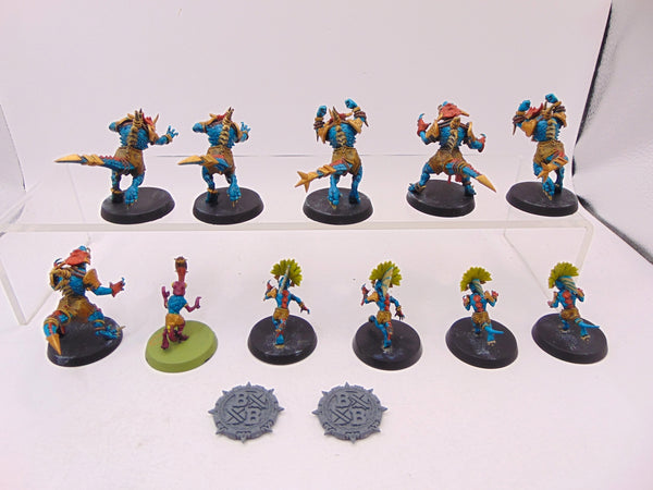 Lizardmen Blood Bowl Team – Gwaka'moli Crater Gators