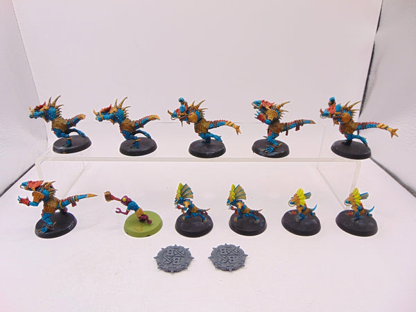 Lizardmen Blood Bowl Team – Gwaka'moli Crater Gators