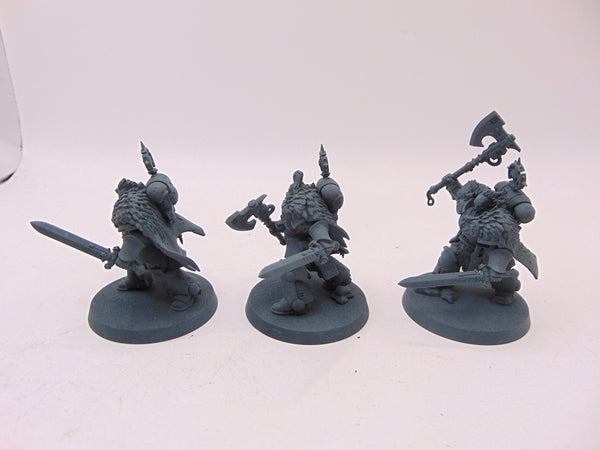 Wolf Guard Headtakers