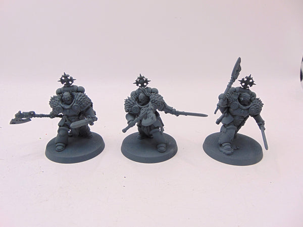 Wolf Guard Headtakers