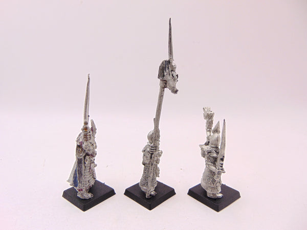 Dark Elf Command Group