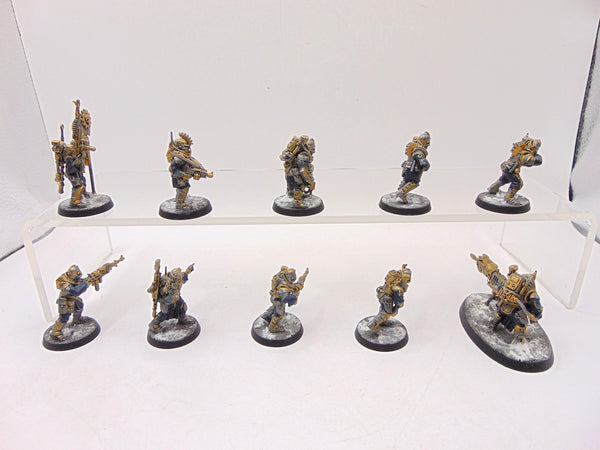 Neophyte Hybrids Conversion
