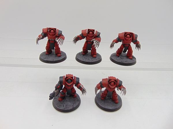 Cataphractii Terminator Squad