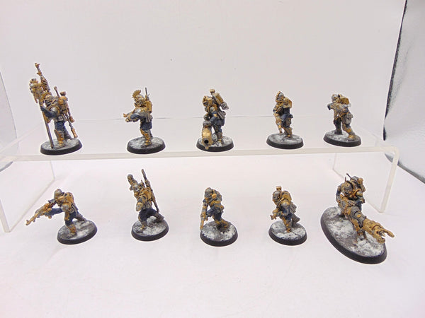 Neophyte Hybrids Conversion