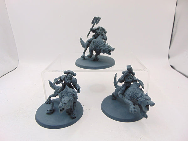Thunderwolf Cavalry