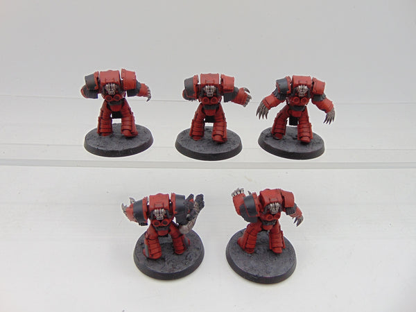 Cataphractii Terminator Squad