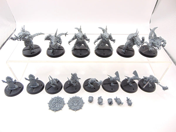 Lizardmen Blood Bowl Team – Gwaka'moli Crater Gators