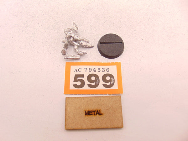 Space Elf Standard Bearer Nael Fleetfoot