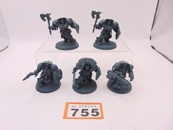 Wolf Guard Terminators