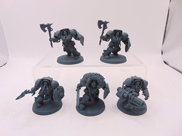 Wolf Guard Terminators