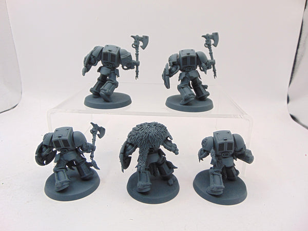 Wolf Guard Terminators