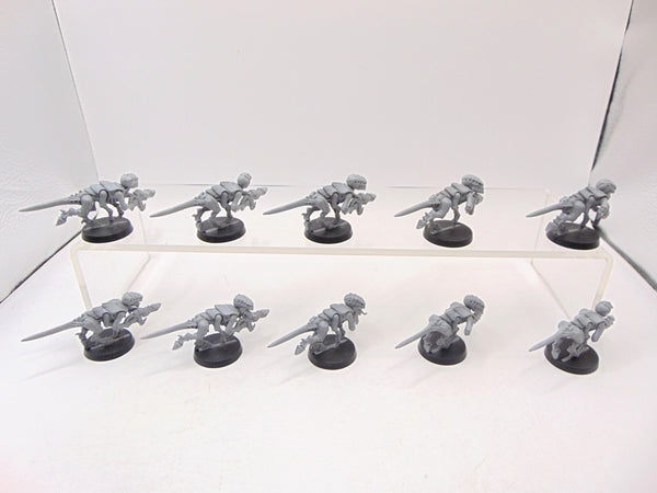 Termagants