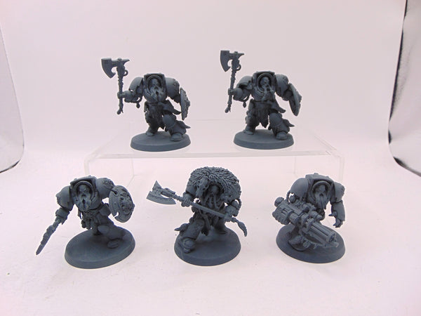 Wolf Guard Terminators