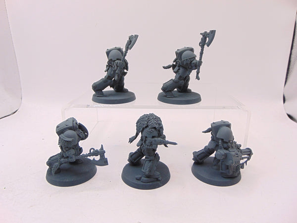 Wolf Guard Terminators