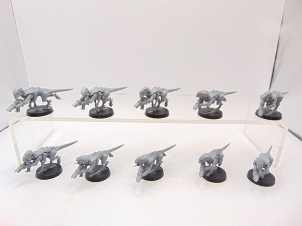 Termagants