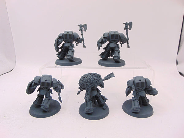 Wolf Guard Terminators