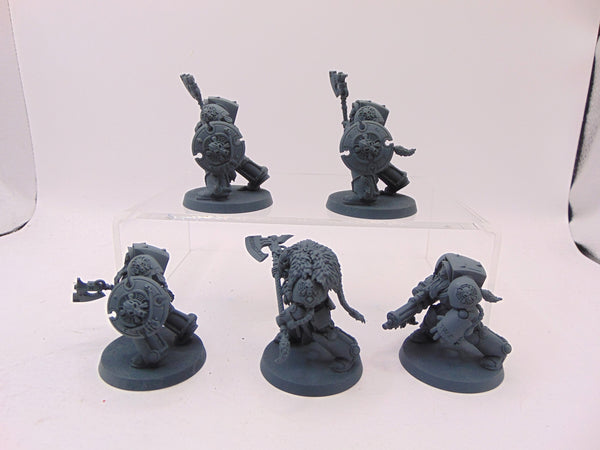 Wolf Guard Terminators