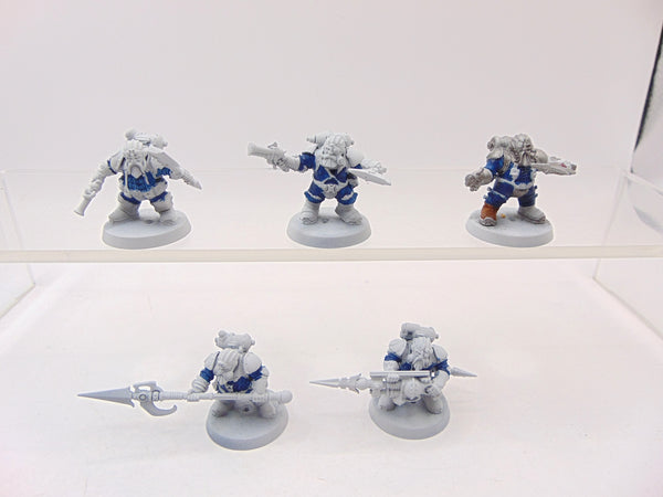 Arkanaut Company