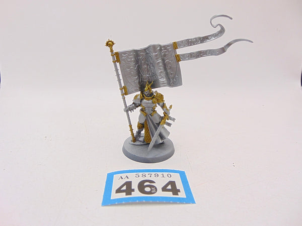 Knight Vexillor with Banner of Apotheosis