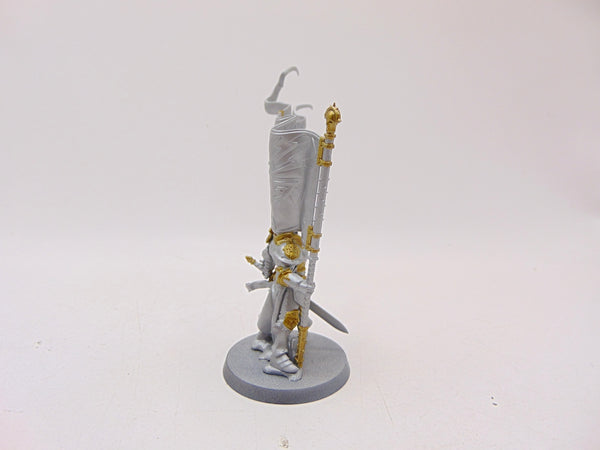 Knight Vexillor with Banner of Apotheosis