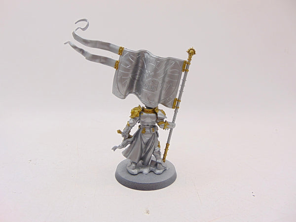 Knight Vexillor with Banner of Apotheosis
