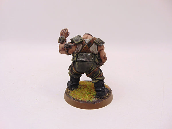 Ogryn