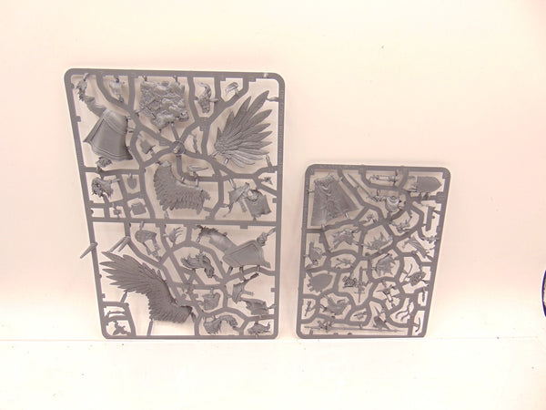 Lord on Royal Pegasus