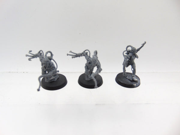 Arco Flagellants