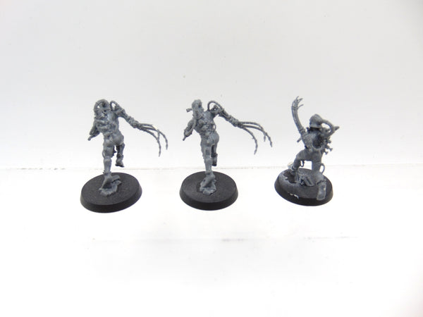 Arco Flagellants