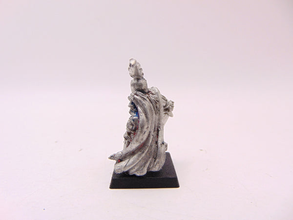 BC2 Evil Dark Elf Captain