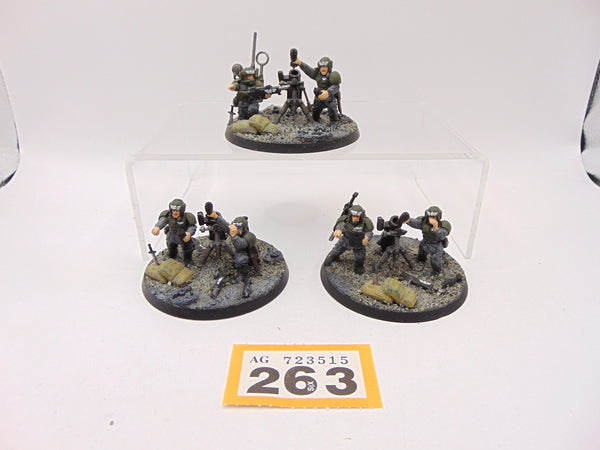 Cadian Heavy Weapon Squad