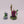Swampcalla Shaman & Pot Grot
