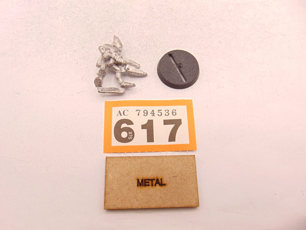 Space Elf Standard Bearer Nael Fleetfoot