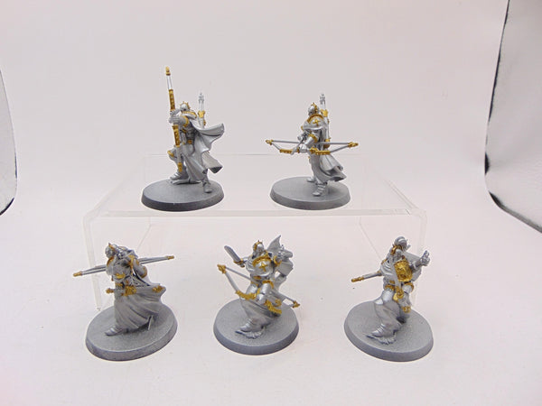 Vigilors