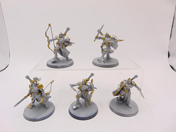 Vigilors