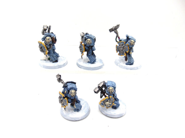 Wolf Guard Terminators