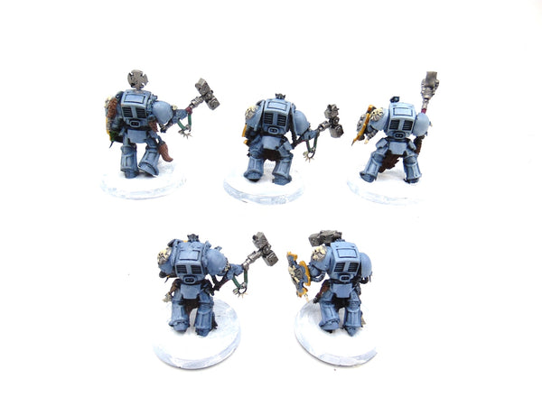 Wolf Guard Terminators